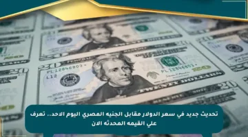 تحديث جديد في سعر الدولار مقابل الجنيه المصري اليوم الأحد.. تعرف على القيمة المحدثة الآن